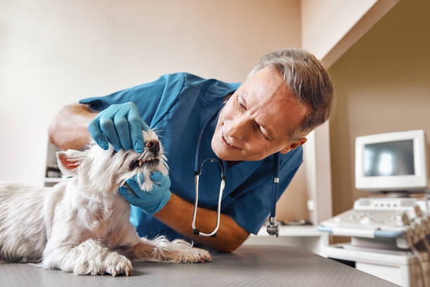 Best Same-Day Emergency Appointments in Forest, VA